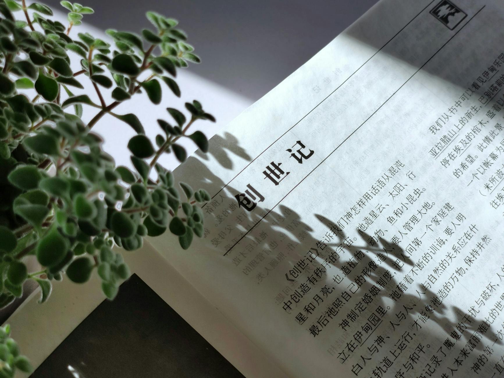 陈一鸣